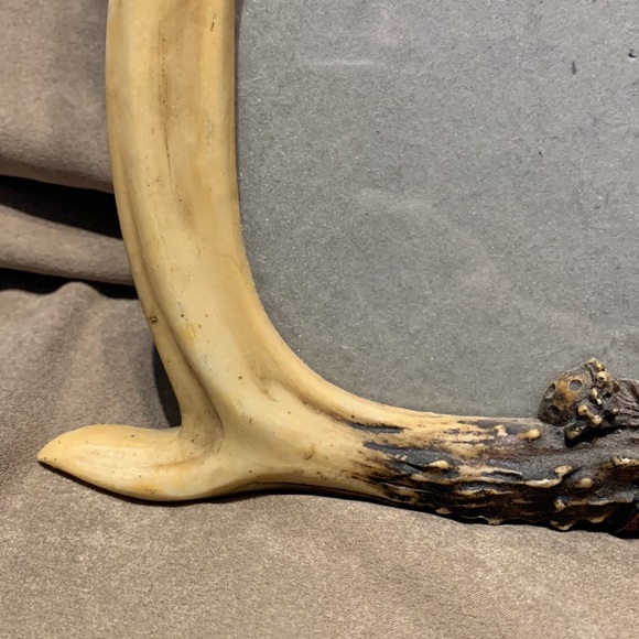 RUSTIC ANTLER HUNTING DOG PICTURE FRAME - Picture 7 of 15